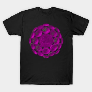 Pink USA Twenty Dollars Coin - Surrounded by other Coins on a Ball T-Shirt